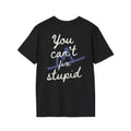 Can't Fix Stupid